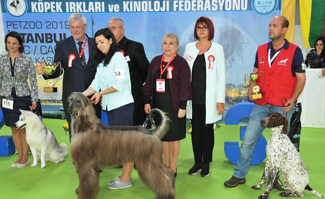 Türkiye’de pet ürünleri pazarı 1 milyar dolar sınırına yaklaştı