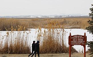 Ankara'da Mogan ve Eymir gölleri dondu
