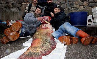 İznik Gölü'nde 100 kiloluk yayın balığı yakalandı