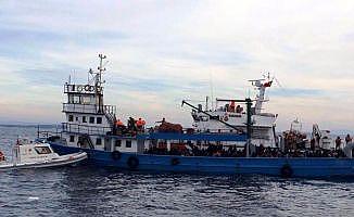 Çanakkale'de 305 kaçak göçmen yakalandı