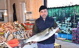 Balıkesir’de levreğin kilosu 100 liradan satıldı